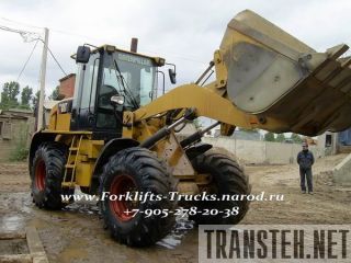  Caterpillar / 924Hz   / -