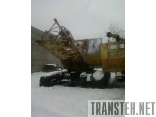  505   50  --