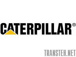 Caterpillar    