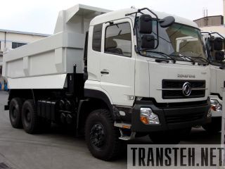  Dong Feng DFL3251A-300.  ( .),