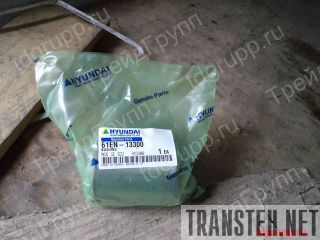 61EN-13300  Hyundai 