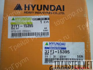 31Y1-15395    Hyundai R300LC-7 
