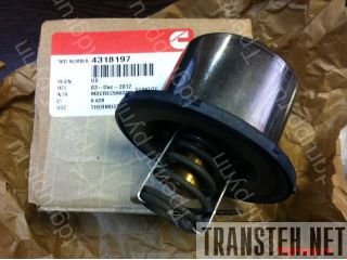 4318197  Cummins 