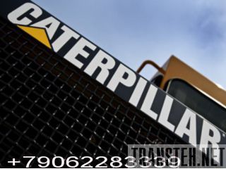        Caterpillar -