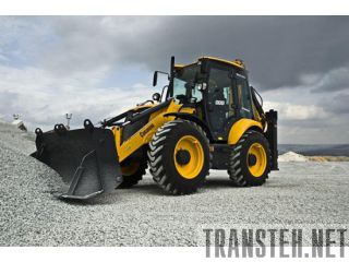    Tarsus 888()	 