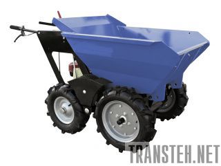   -250  