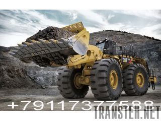           Caterpillar -