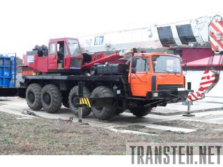   7976    79081 
