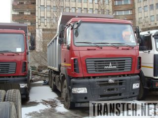  65019-8420-000 --