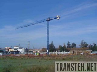       Linden Comansa  5 LC 5010   () 