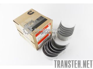 3950661   Cummins ISL8.9 
