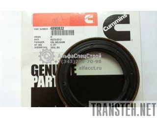 3921297 / 4025270 / 3921927    Cummins C8.3, 6CTA8.3-C 