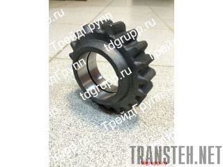 05-4202018-01   (20 .) 