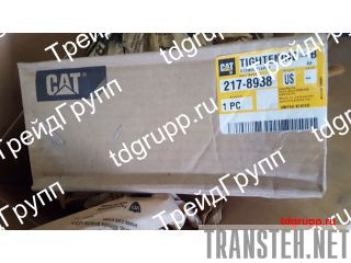 217-8938   CAT C18 
