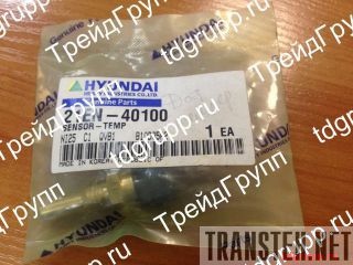21EN-40100   Hyundai 