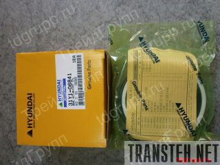 31Y1-06841    Hyundai 