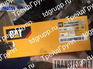 377-7037  CAT 