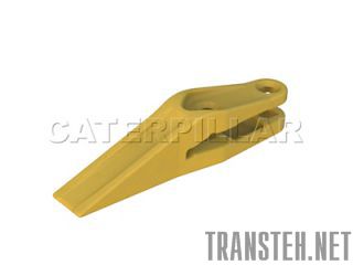       Caterpillar -