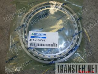 ZTAM-00065  