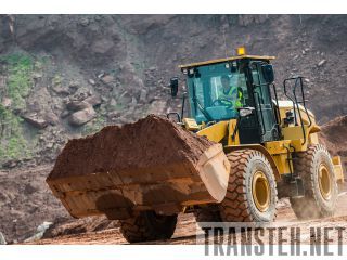       Caterpillar -