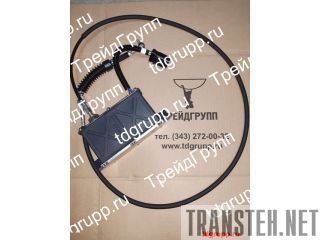 483-7810  CAT 