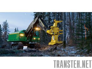       TigerCat -