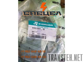 B302-0601    Everdigm RH 30/EH 30 