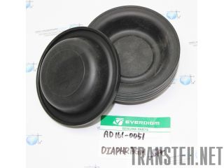    EVERDIGM EHD210 
