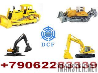   DCF ( )   -