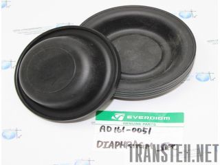 AD161-0051    EVERDIGM EHD210 