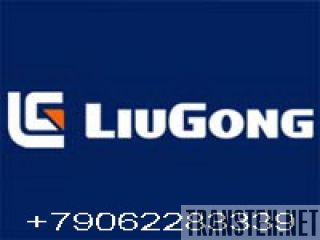    Liugong -